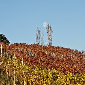 20081115 DSC 0100 bearbeitet 1
