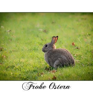 Ostern DSC 9091 Kopie