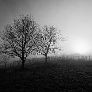 DSC 2196 sw