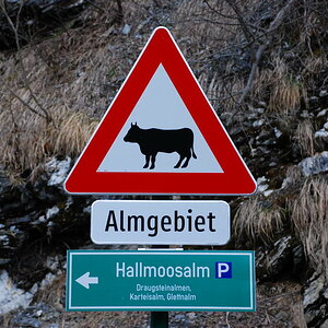 DSC 1230 Bildgröße ändern
