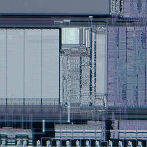 Chip Cropa 1024w