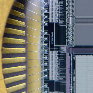 Chip Cropb 1024w