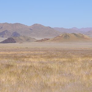 DSC 2959