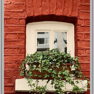 Fenster