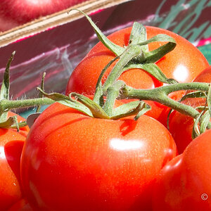 Viktualienmarkt 2 (100% Crop, default LR3 settings)