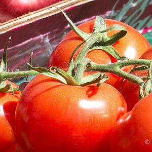 Viktualienmarkt 2 (100% Crop, 1px Schärfung, 50% Clarity)