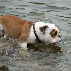 wasserspiele3