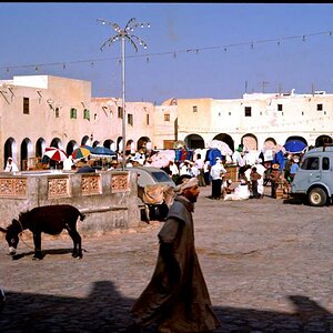 33 Afrika 1972