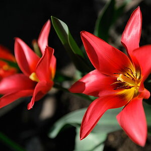 2012 04 08 13 42 16 D70 2662 copy
