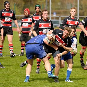 Rugby Memmingen Eagles gegen RFC München in Memmingen am 21.04.2012.