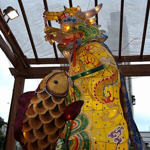 DSC 4886