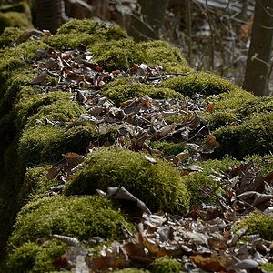 120331 Höfingen 087