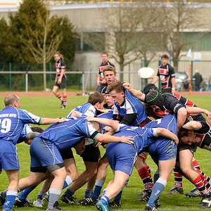 Rugby Memmingen Eagles gegen RFC München in Memmingen am 21.04.2012.