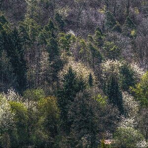 120422 HDR 01