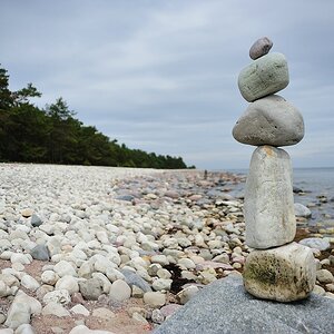 Trollskogen10
