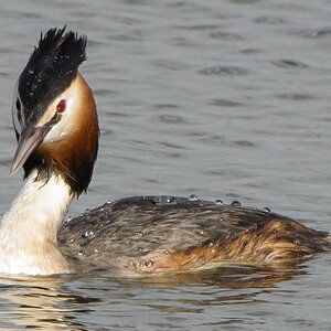 20120408 5984 [NIKON 1 V1] 400 mm,1 250 Sek. bei ƒ   6,3