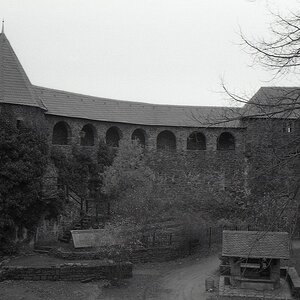 comp img099
