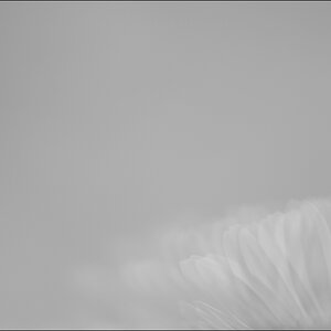 SpiegelDSC 5019