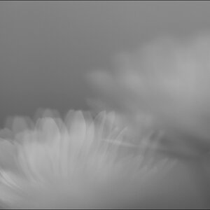 SpiegelDSC 5023