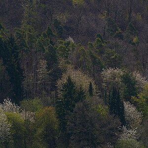 120422 LDR 01