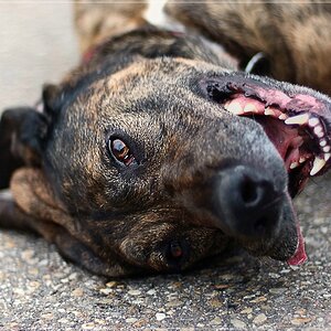 Compressed 0921