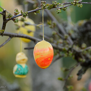 20120408 pic mn 003 Osterei