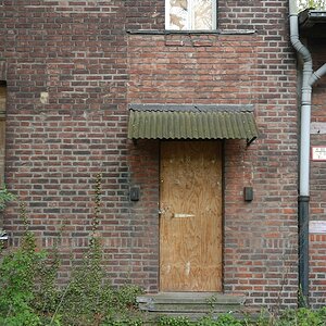 xDSC 0639