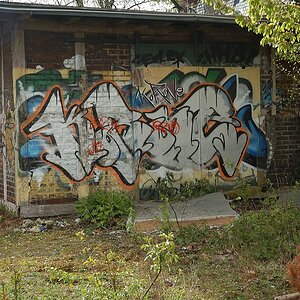 xDSC 0646