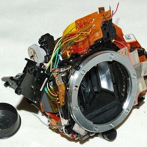 DSC05800