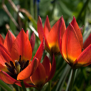20120503  DSC6446