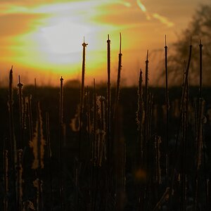 SC DSC 1277