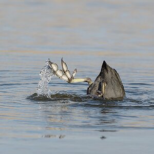 20120408 9071 [NIKON D7000] 400 mm,1 500 Sek. bei ƒ   4,0