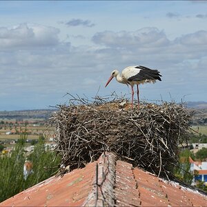 aacomp Extremadura 20120423 6838