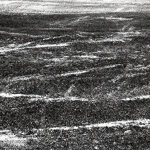 ANL 201202 01 w
Nikon F5, 1,4/50 mm,
KODAK 400 Tmax