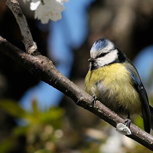 2012 04 08 13 48 27 D30 5145 copy