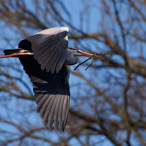 120316 0102