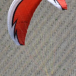 DSC 1489