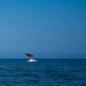 ostseeblau4