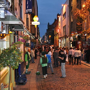 DSC 0029