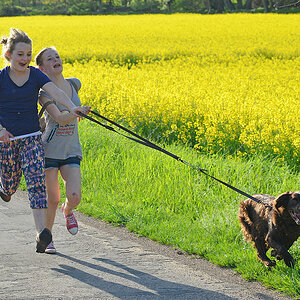 Erster Mai 2012 593b