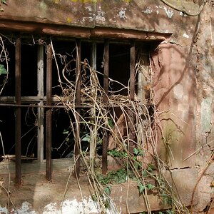 Fenster
