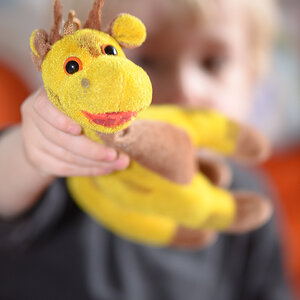 NFF Giraffe 4990