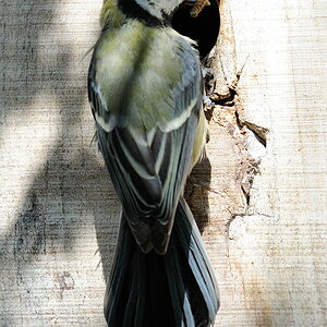 2012 04 10 13 42 06 D70 2768 copy