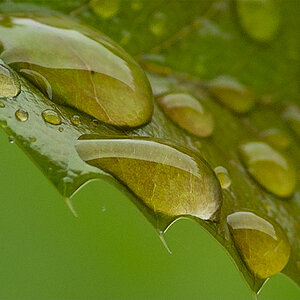 D8E 0019 100crop