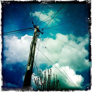 HipIMG 0337