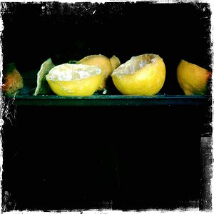 HipIMG 0323