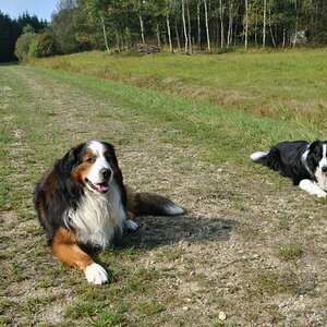 Rusty und Robin 00