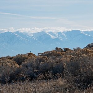 Wasatch Mountains - Utah