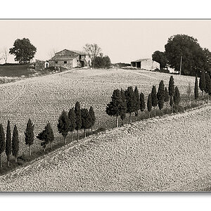 sw toscana1986