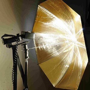 Metz 60 CT-4 auf Stativ mit Reflexschirm.

Licht war der entfesselt ausgelöste Blitz im Bild.
